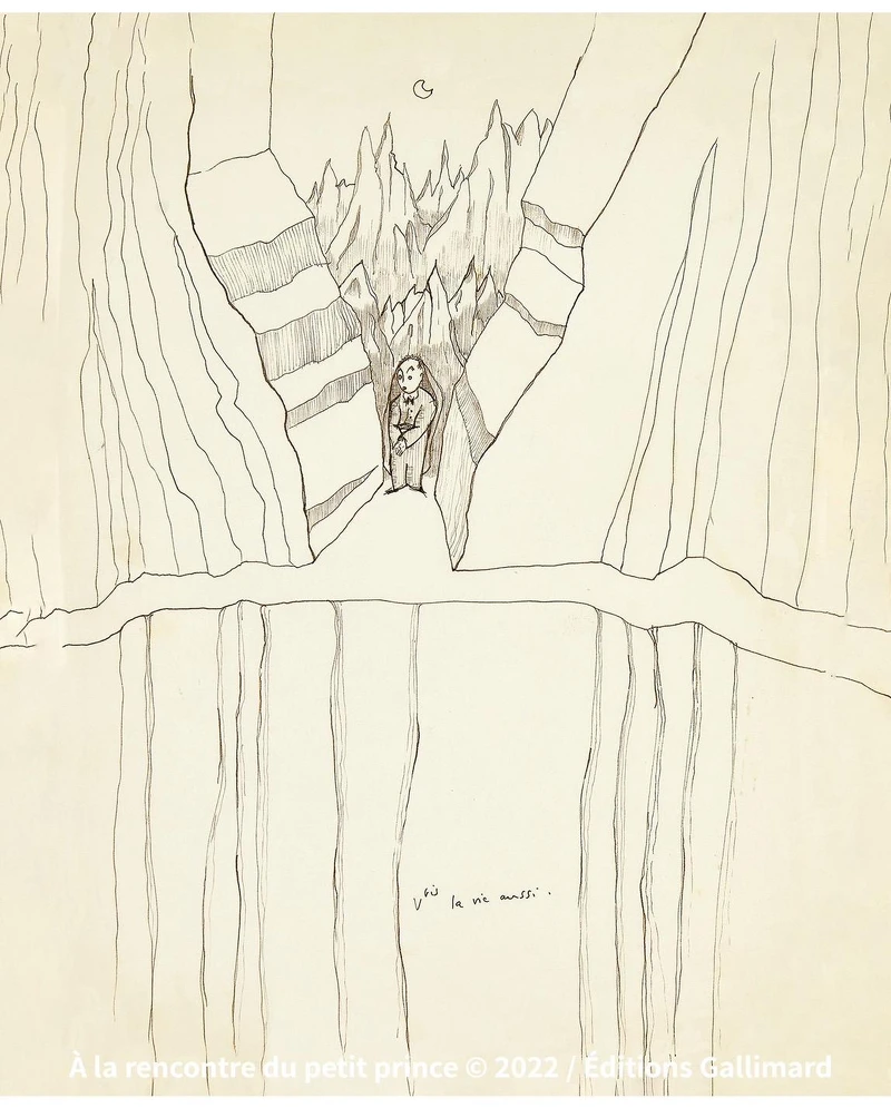 V-bis 也是生命。大塊文化提供。