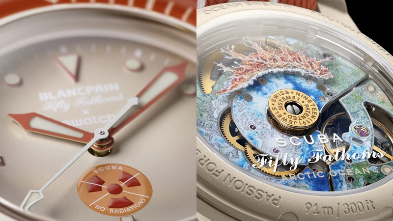 ARCTIC OCEAN (北冰洋) 印有北冰洋和Dendronotus Frondosus 裸鰓類動物數位印花圖案