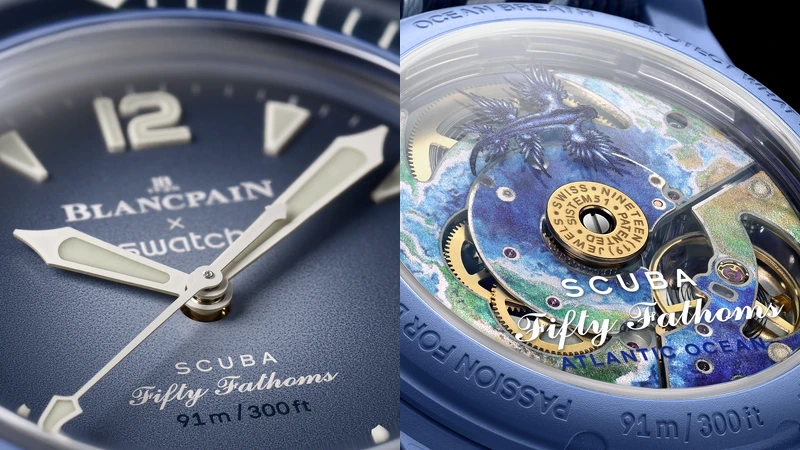 ATLANTIC OCEAN (大西洋) 印有大西洋和 Glaucus Atlanticus 裸鰓類動物數位印花圖案