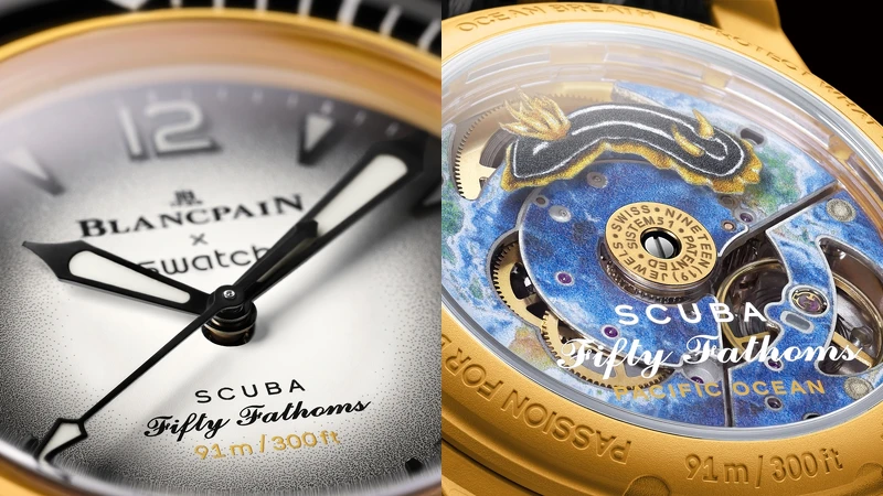 PACIFIC OCEAN (太平洋) 印有太平洋和 Chromodoris Kuiteri 裸鰓類動物數位印花圖案