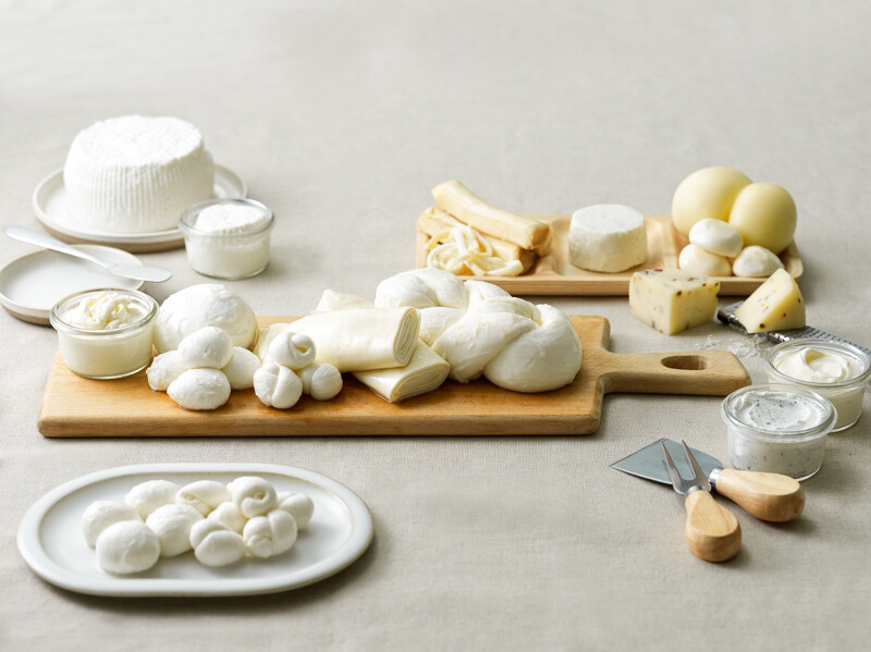 「天然乳酪」跟「加工乳酪」可不一樣! 「天然乳酪」跟「加工乳酪」可不一樣!