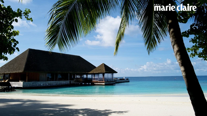 處處椰林交織出愜意渡假風情