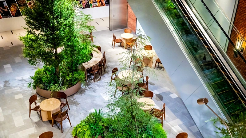 店內各處都有綠意植栽