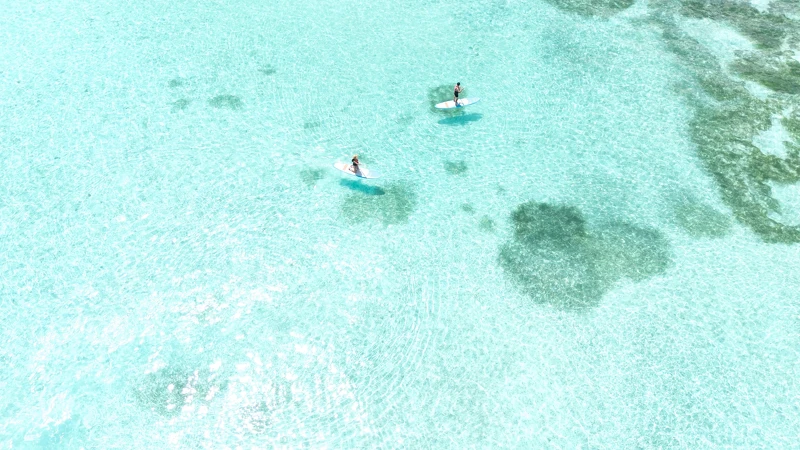 (圖片來源：hi__cindy @IG)