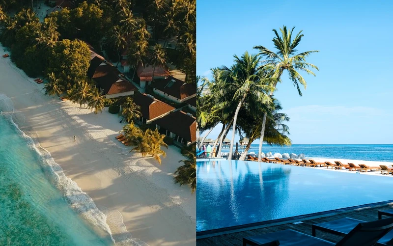 (圖片來源：ooorange33@IG)