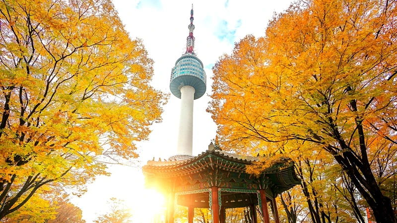 Photo／Getty Images