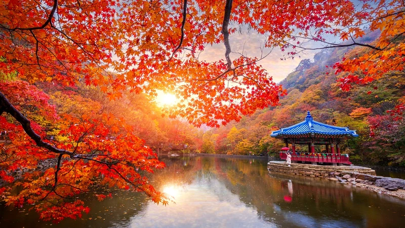 Photo／Getty Images