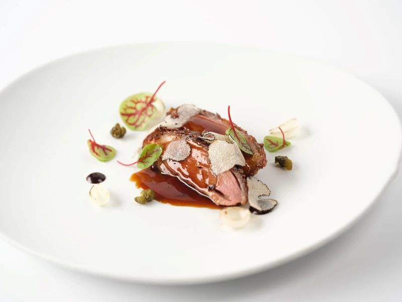 Molino de Urdániz渥達尼斯磨坊_阿彼修斯鴨