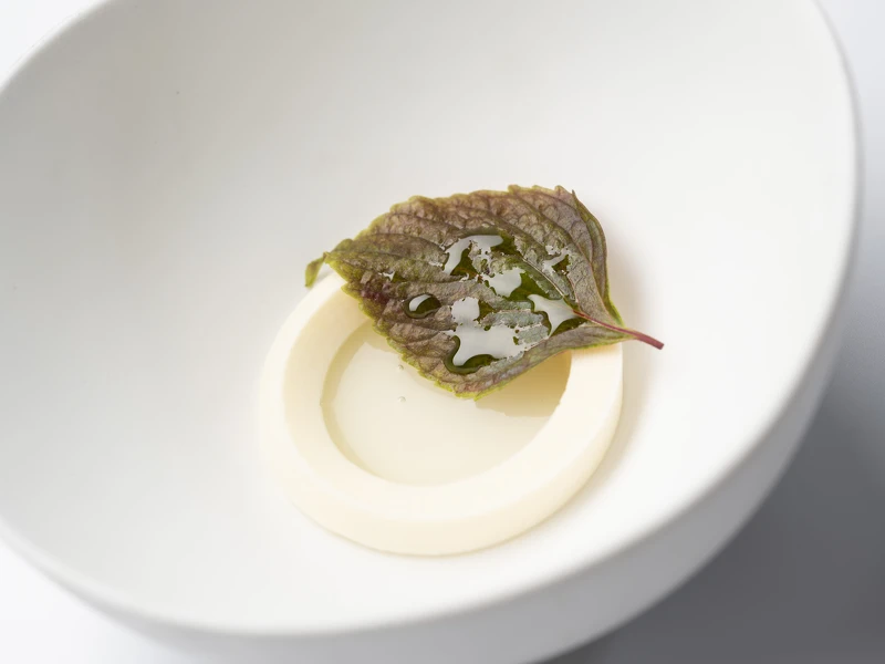 Molino de Urdániz渥達尼斯磨坊_青塘