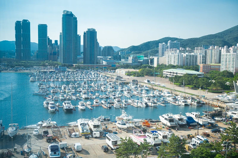 「釜山柏悅酒店 Park Hyatt Busan」窗外的景色壯麗。