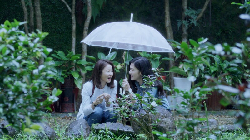 《此時此刻》獻多元戀愛拼盤 林心如林熙蕾譜唯美情 《此時此刻》獻多元戀愛拼盤 林心如林熙蕾譜唯美情