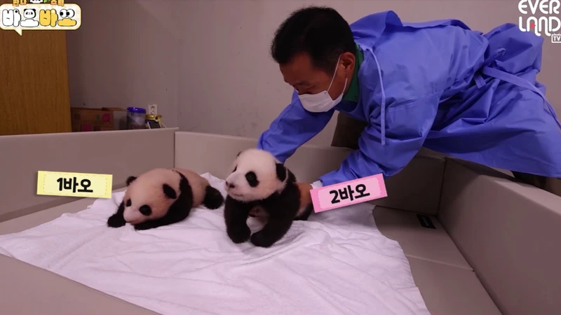 姜爺爺照顧雙胞胎孫女。