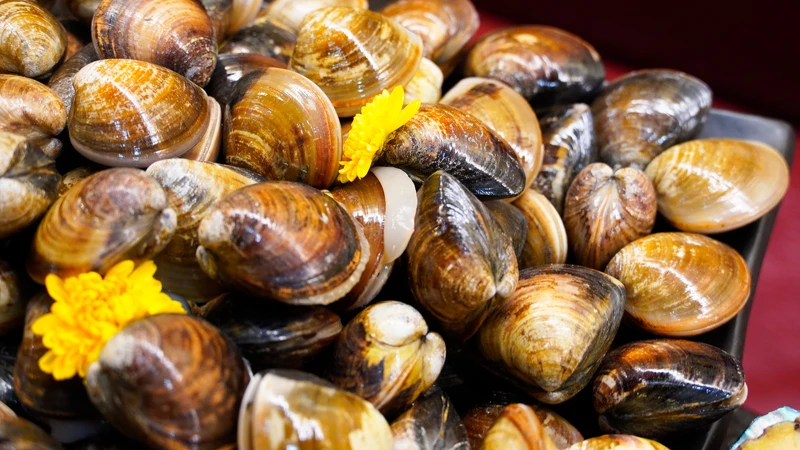 馬辣頂級麻辣鴛鴦火鍋。