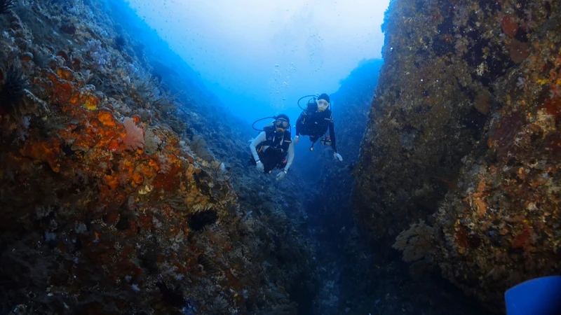 @zouzou_greenisland @zouzou_greenisland