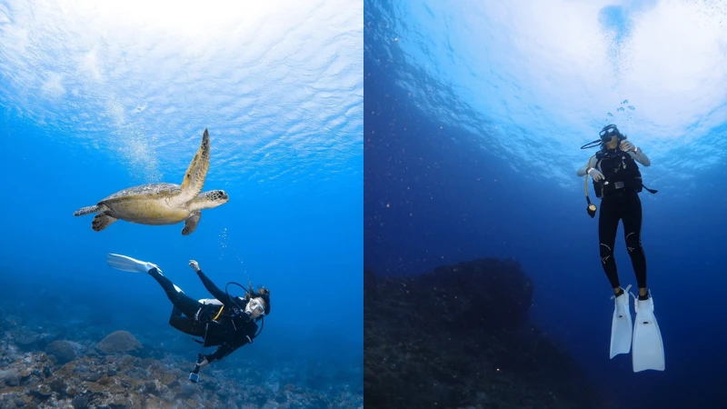 @zouzou_greenisland @zouzou_greenisland