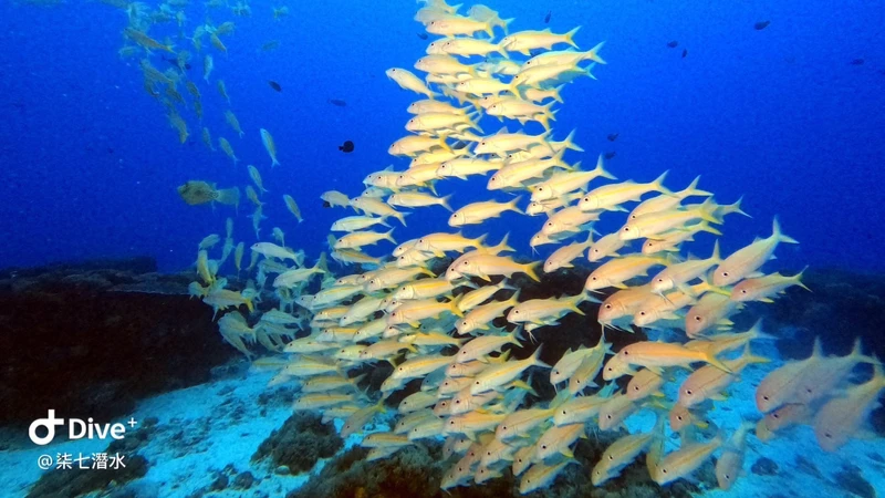 @chichidiveinn @chichidiveinn