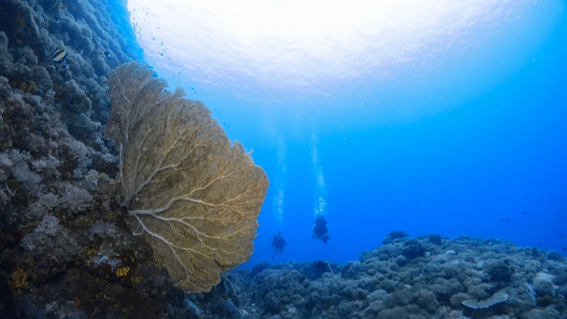 @zouzou_greenisland @zouzou_greenisland