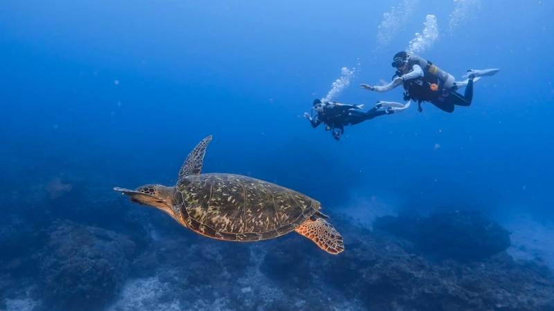 @zouzou_greenisland @zouzou_greenisland