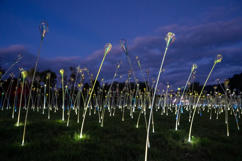 蔡宜婷《植光.花》 蔡宜婷《植光.花》