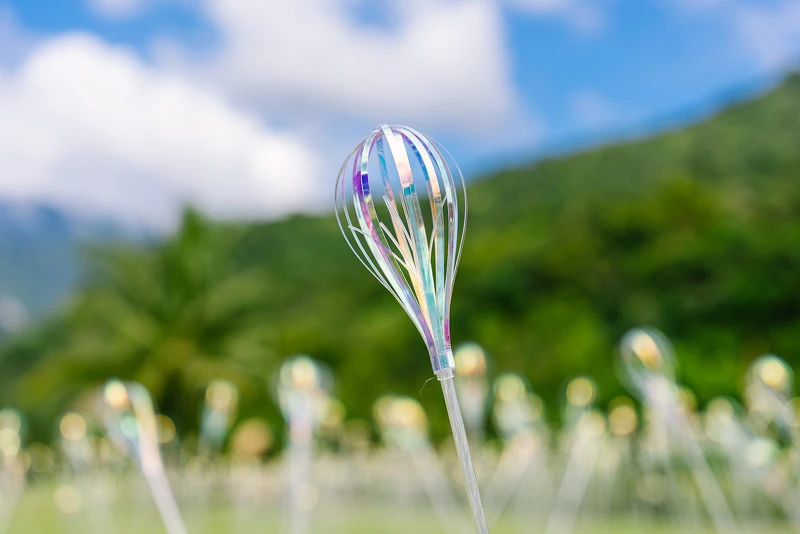 蔡宜婷《植光.花》 蔡宜婷《植光.花》