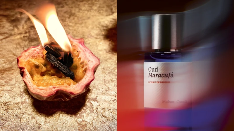 Maison Crivelli日焰烏木香精形象圖。