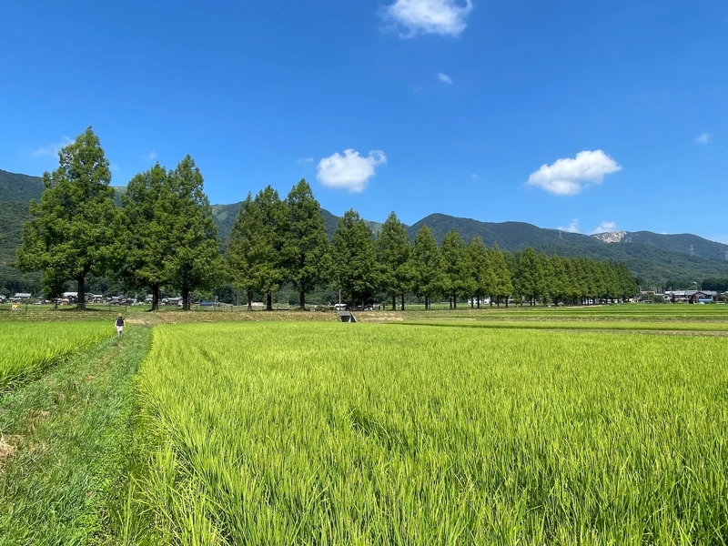 田園風景。 田園風景。