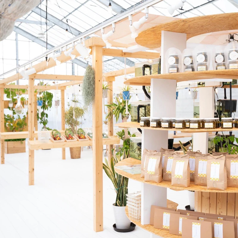 精彩的選物。 精彩的選物。