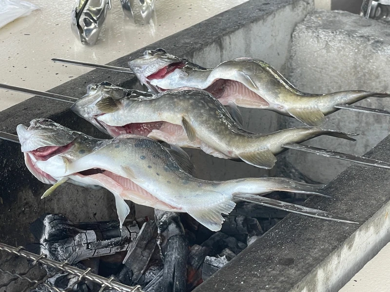 健康美味的海陸大餐。 健康美味的海陸大餐。