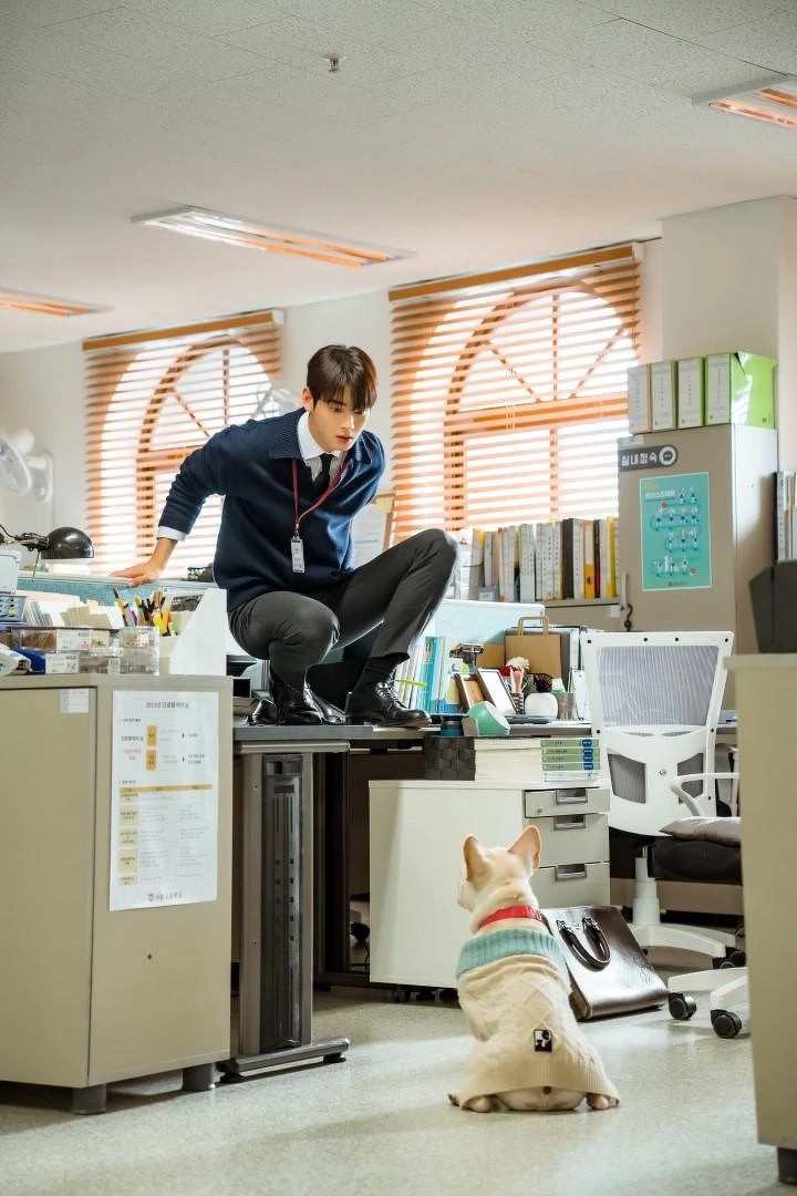 書元被小狗嚇到跳上辦公桌,反差萌讓角色加分 書元被小狗嚇到跳上辦公桌,反差萌讓角色加分