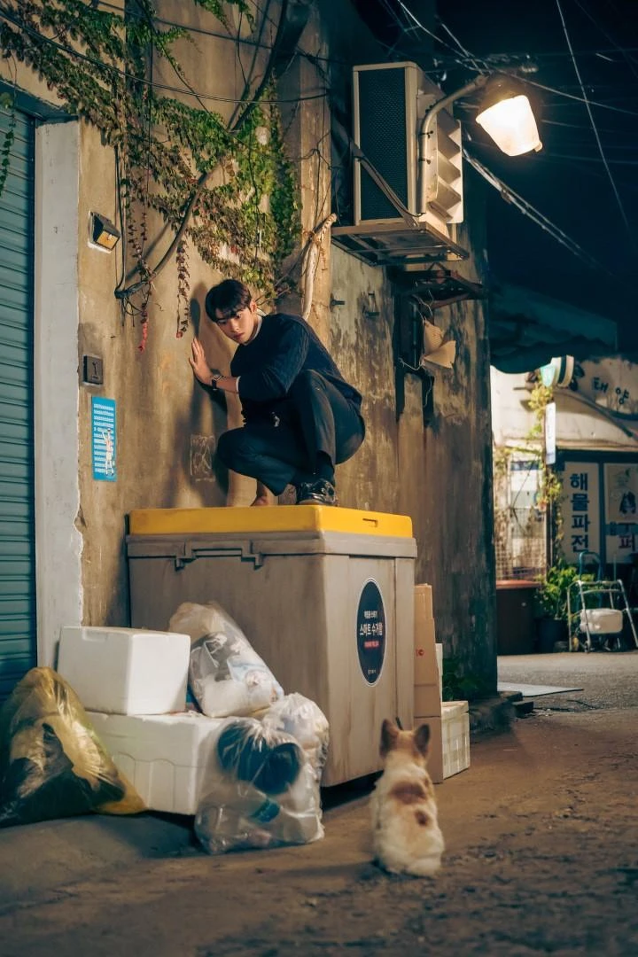 車銀優就算恐狗還是帥到掉渣啊