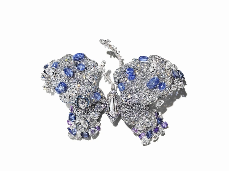 重生蝴蝶胸針 重生蝴蝶胸針