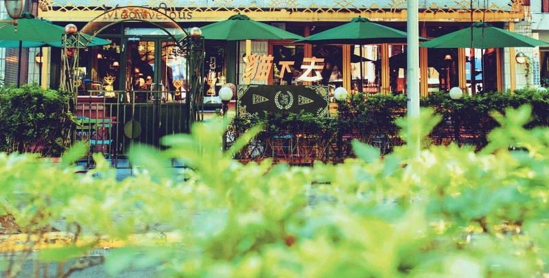 位於敦化民生路口的「貓下去敦北俱樂部」。 位於敦化民生路口的「貓下去敦北俱樂部」。