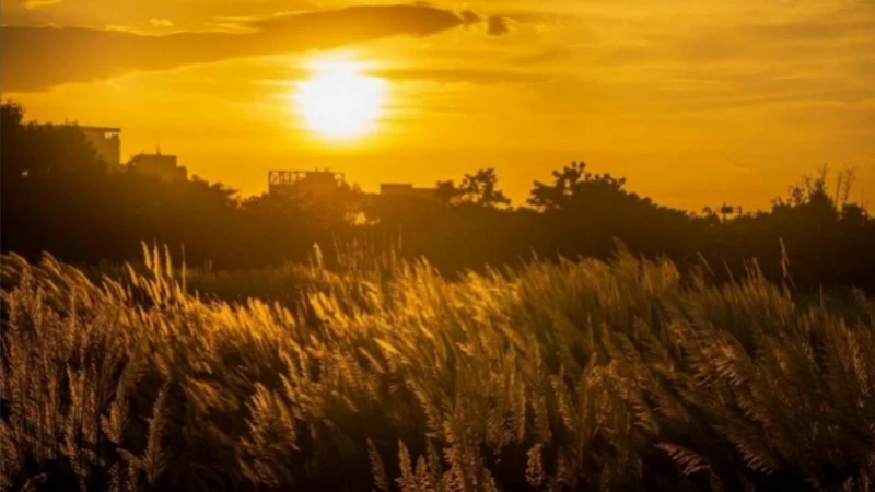 Photo／IG@h.y.c.0302授權提供