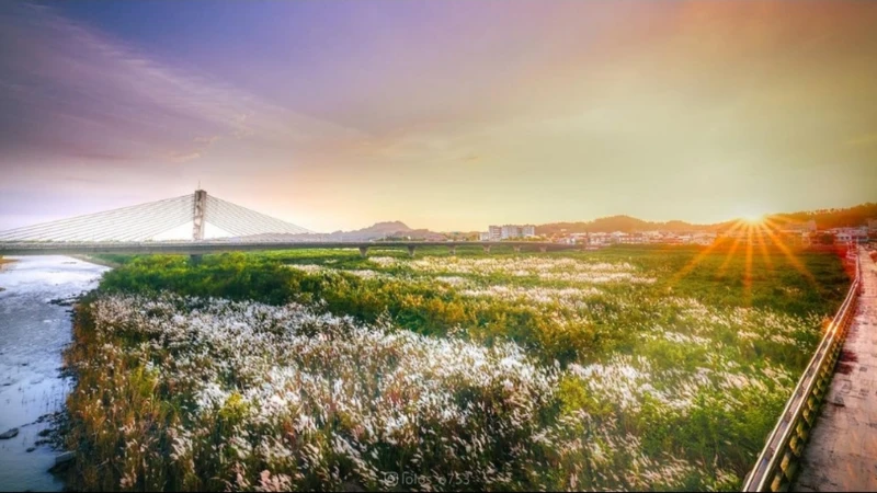 Photo／IG@lolos_o753授權提供