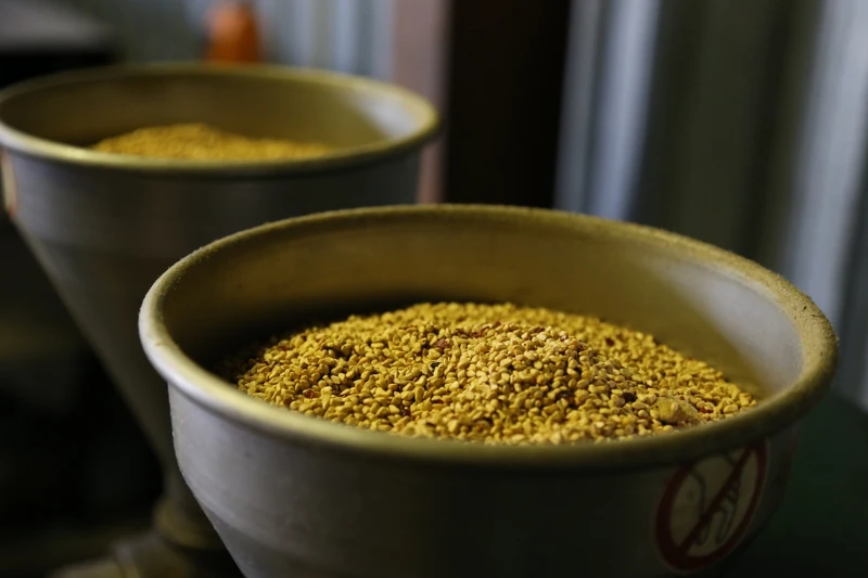 Trilogy以冷壓萃取100%純正玫瑰果油,精粹出金黃色營養精華。 Trilogy以冷壓萃取100%純正玫瑰果油,精粹出金黃色營養精華。