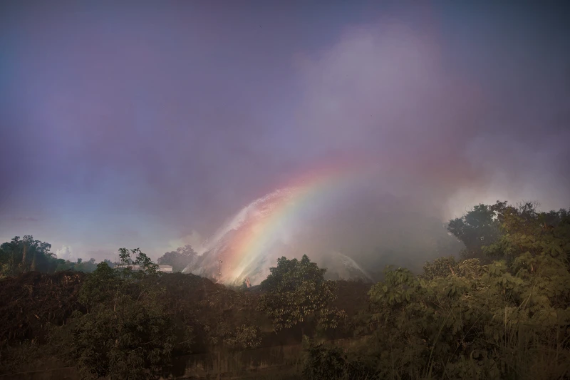Robert Zhao Renhui_The Divine in the Trash Stratum（香格納畫廊）