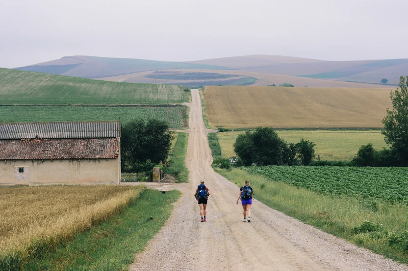  攝影／戴鈺珊（@cyndi.foto）