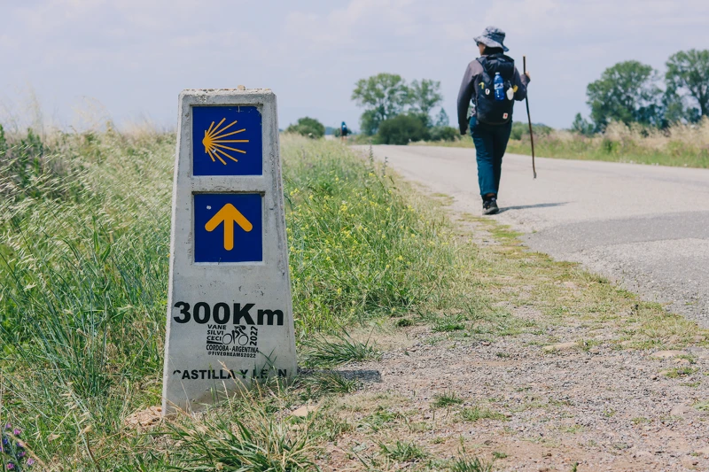  攝影／戴鈺珊（@cyndi.foto）