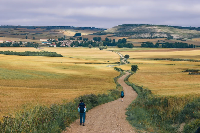  攝影／戴鈺珊（@cyndi.foto）