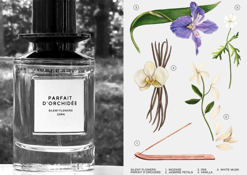 ZARA X Jo Love Silent Flower系列香水- PARFAIT D’ORCHIDÉE完美蘭花100ml，NT1,490