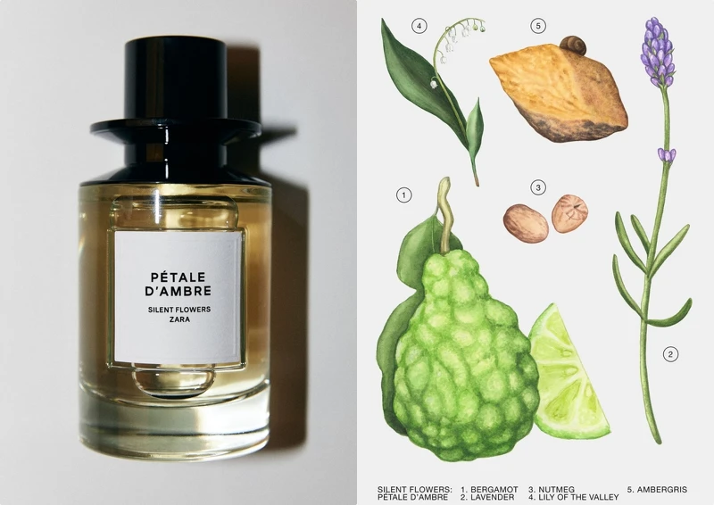 ZARA X Jo Love Silent Flower系列香水- PÉTALE D’AMBRE琥珀之花100ml，NT1,490