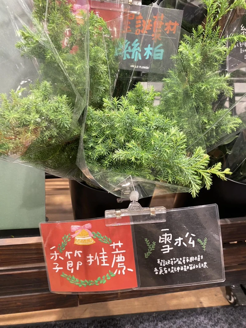 圖片來源:UNIQLO Flower 圖片來源:UNIQLO Flower