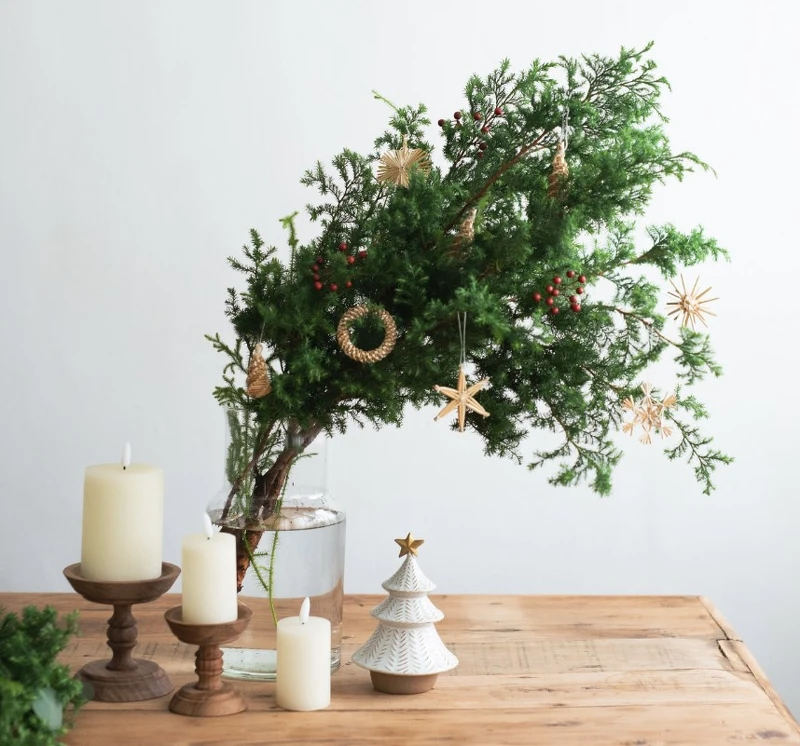 圖片來源:兒山企画部 圖片來源:兒山企画部