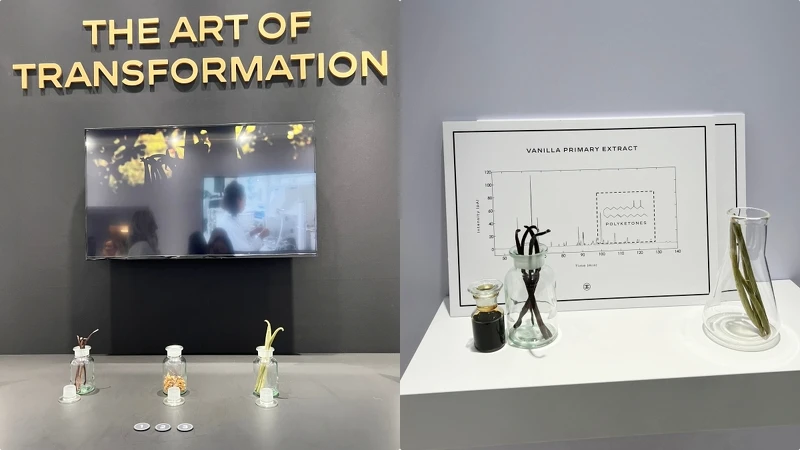 五月梵尼蘭含有多種有效成份,從中可提煉出具有卓效活性的精萃。 五月梵尼蘭含有多種有效成份,從中可提煉出具有卓效活性的精萃。