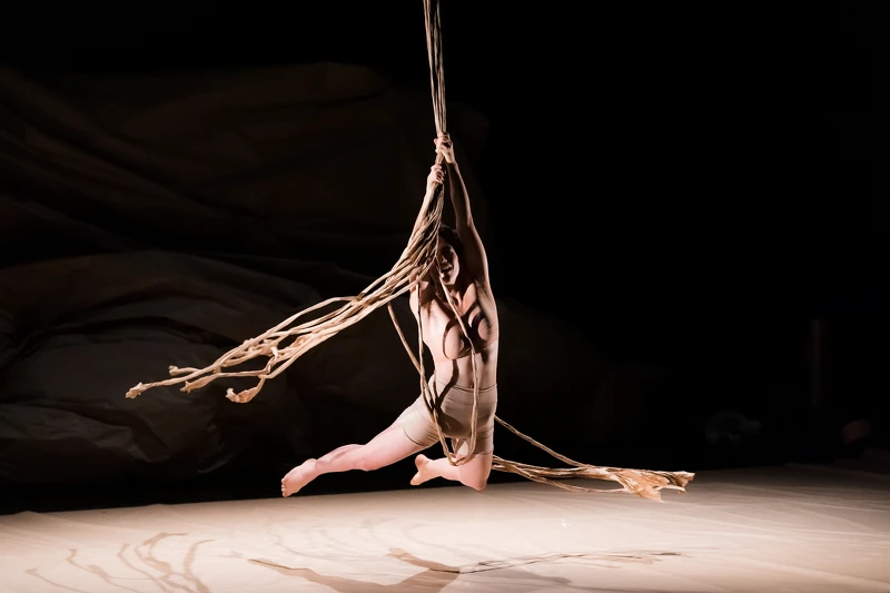 《紙Pli》攝影 Milan Szypura 《紙Pli》攝影 Milan Szypura