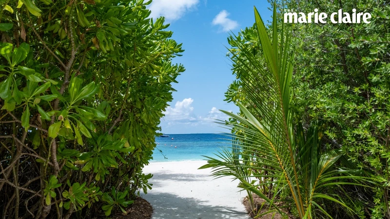 海灘別墅的陽台能直奔大海