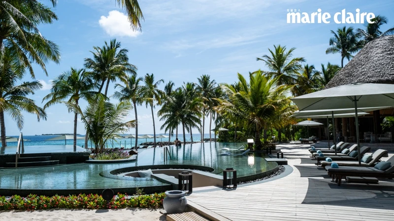 設於日光浴平台上的Mojo 設於日光浴平台上的Mojo