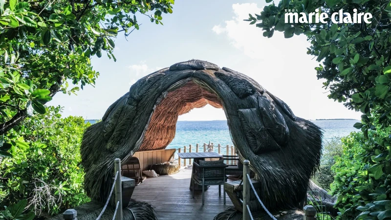 「海龜樹屋」能享受不被打擾的聚會與用餐時光 「海龜樹屋」能享受不被打擾的聚會與用餐時光