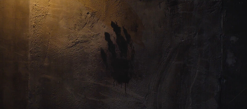 張泰尚的血手印像怪物手掌 張泰尚的血手印像怪物手掌