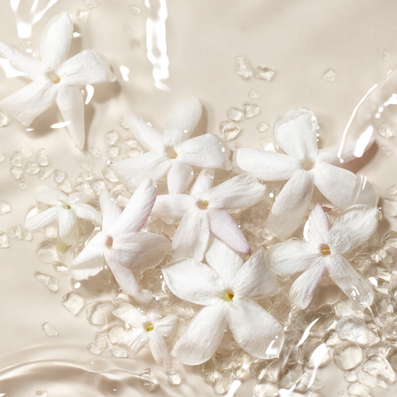 Giorgio Armani亞曼尼ARMANI PRIVE高級訂製香水寰遊系列璨白金繼使用的大花茉莉。